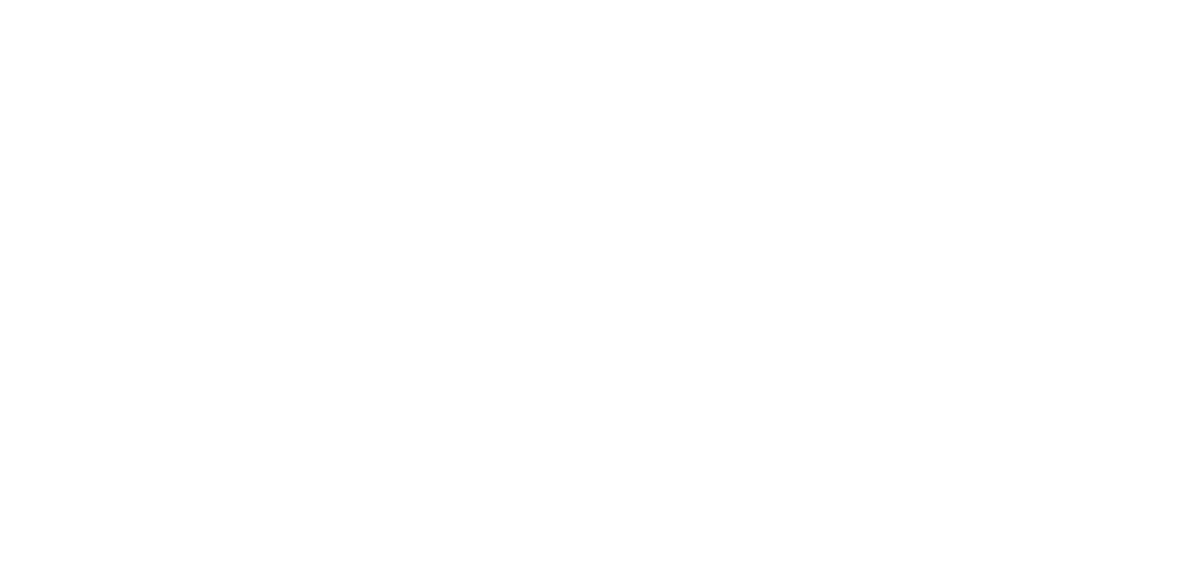 BFC LOGO BLANC